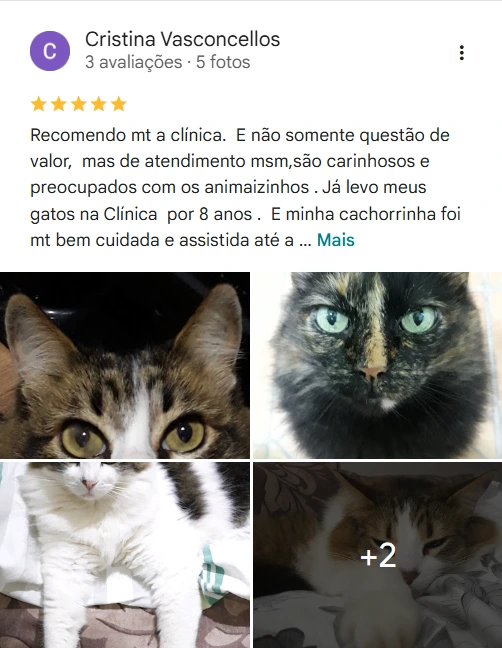 Avaliação 5 estrelas