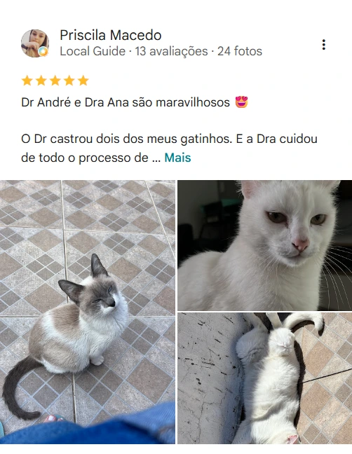 Avaliação 5 estrelas