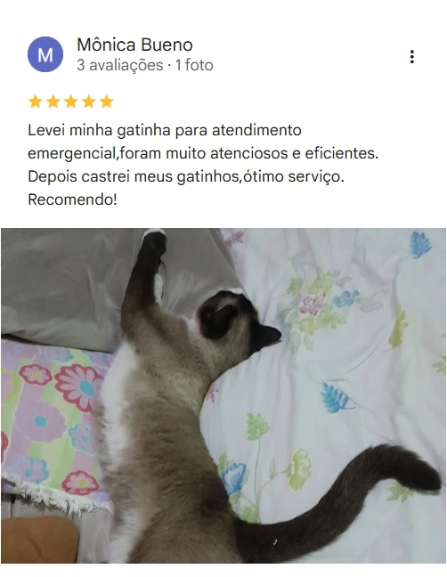 Avaliação 5 estrelas