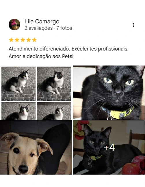 Avaliação 5 estrelas
