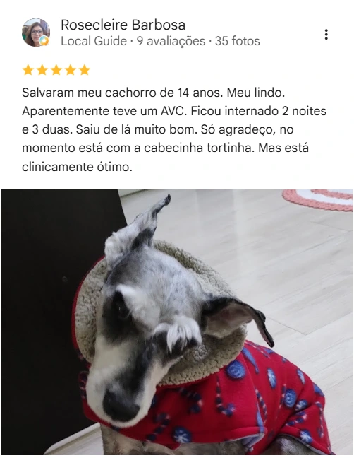 Avaliação 5 estrelas